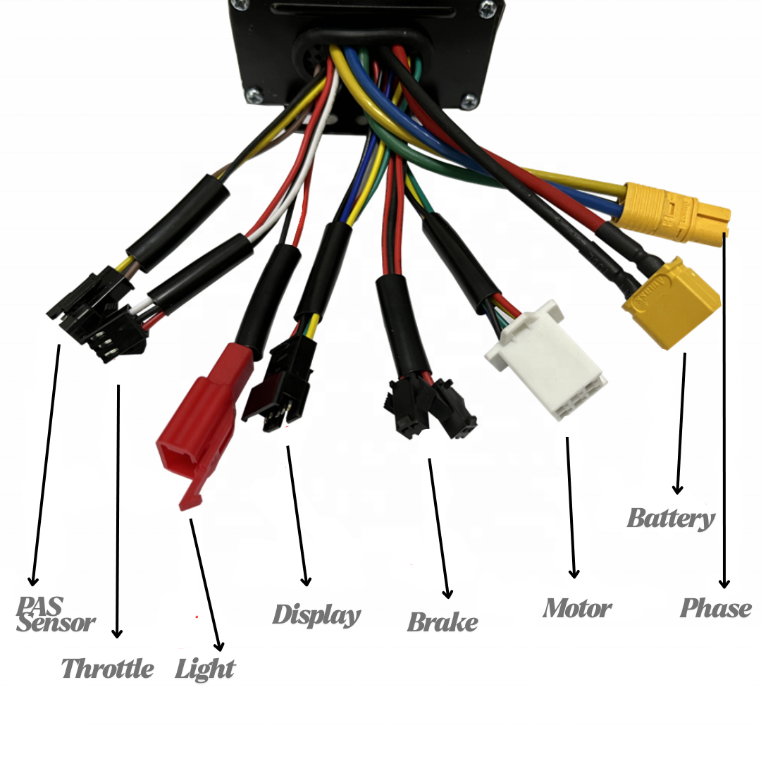 Voltica 1000W Conversion Kit